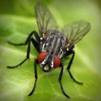 /album/gomik/photolia-a01-jpg/