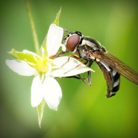 /album/gomik/photolia-a02-jpg/