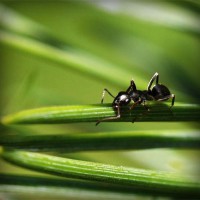 /album/gomik/photolia-a05-jpg/