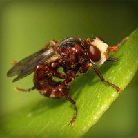 /album/gomik/photolia-a06-jpg/