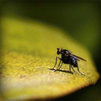 /album/gomik/photolia-a07-jpg/