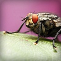 /album/gomik/photolia-a08-jpg/